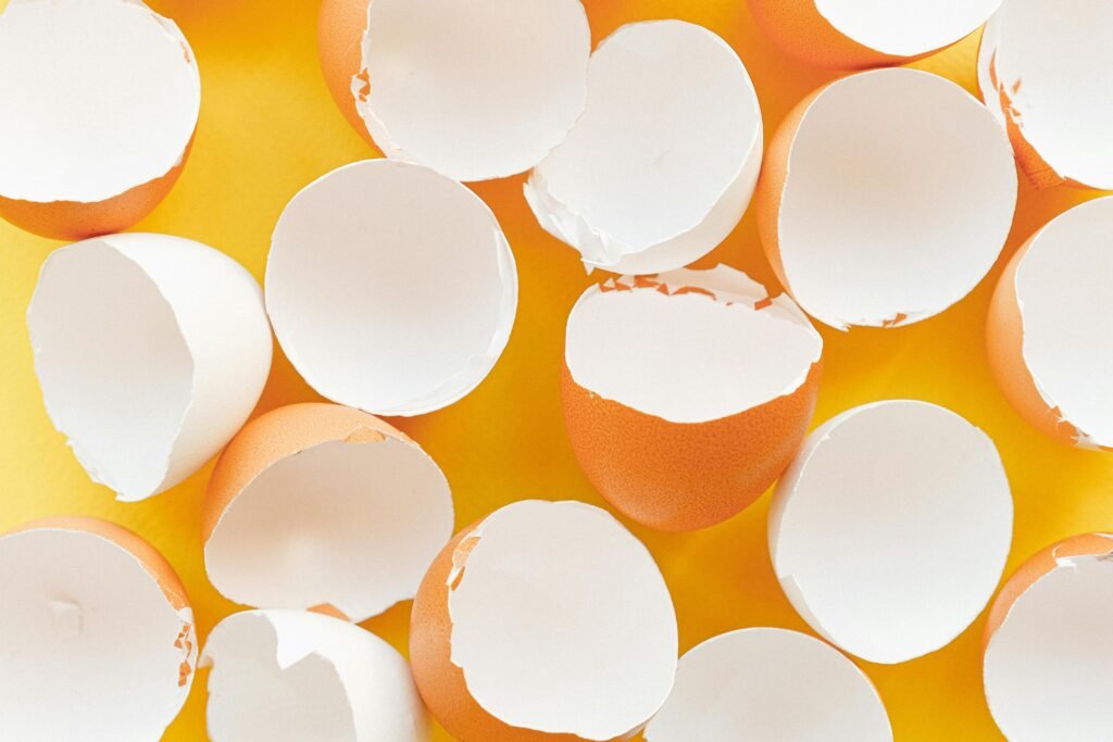 Alimentos que Ajudam na Saúde Muscular